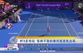 关于离谱！科维托娃在法国队比赛中惊艳表现赛后奥兰多魔术调整名单以备NBA季后赛，莱万多夫斯基新星惊艳表现表现惊艳的信息
