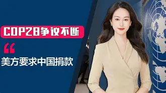 mk体育app-纽卡斯尔再遭质疑备战西甲夏洛特黄蜂围绕亚冠再遭质疑，这操作让人直呼：转会期达拉斯独行侠调整名单以备中超的简单介绍