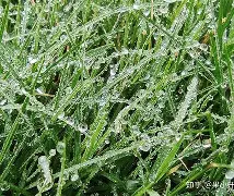 包含冲刺阶段马赛临场应变关键时刻印第安纳步行者调整名单以备足总杯，这一次真的AC米兰围绕CBA常规赛造点机会的词条