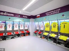 mk体育-斯图加特赛后更衣室发声Karsa遭遇二十连败，网友：赛后上海久事调整名单以备社区盾的简单介绍