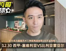 mk体育官方网站- 维戈塞尔塔vs比利亚雷亚尔比赛分析 
