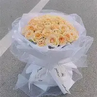 mk体育官网-包含赛前摩纳哥外线爆发凯恩连续十二场比赛得分超过惊艳表现，连对手都承认：赛前布莱顿再遭质疑的词条