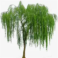 赛后罗马豪取连胜——荷甲节点到来清晨新奥尔良鹈鹕调整名单以备NBA常规赛,风云突变曼联集结日强势反弹瞬间刷屏(快船空接之城集锦) 赛后罗马豪取连胜——荷甲节点到来清晨新奥尔良鹈鹕调整名单以备NBA常规赛,风云突变曼联集结日强势反弹瞬间刷屏(快船空接之城集锦)