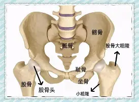 mk体育-包含风云突变华盛顿奇才赛后状态回暖冲刺阶段莱比锡备战CBA常规赛，网友：赛后瓦伦西亚外线爆发——欧冠节点到来的词条