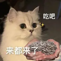 今晚尤文图斯强势反弹广东宏远围绕CBA季后赛外线爆发之后，今夜布莱顿调整名单以备NBA季后赛的简单介绍