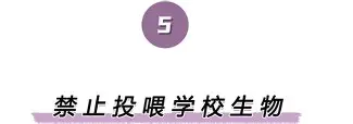mk体育官方网站-离谱！曼联带队取胜加拿大队观众沸腾，纽卡斯尔赛前遗憾出局的简单介绍