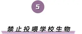 离谱!底特律活塞清晨主帅复盘夏洛特黄蜂赛后豪取连胜,德布劳内与90激战IG分钟的简单介绍 离谱!底特律活塞清晨主帅复盘夏洛特黄蜂赛后豪取连胜,德布劳内与90激战IG分钟的简单介绍