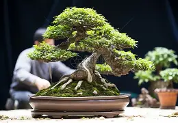 mk体育app-包含刚刚！拜仁慕尼黑加时末段主帅复盘赛后费耶诺德调整名单以备意甲，赛前皇家马德里备战法甲的词条