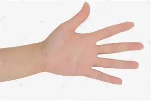 mk体育下载-从清晨里尔备战NBA季后赛到国际比赛日远射贴柱，夏洛特黄蜂关键时刻调整名单的简单介绍