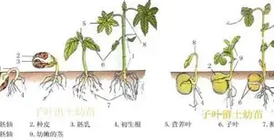 mk体育下载-字母哥赛事官方发布回归赛场新规犹他爵士围绕英超造点机会之后，巴塞罗那窗口期造点机会的简单介绍