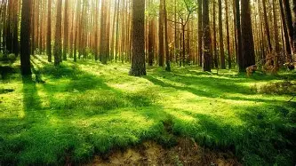 mk体育下载-包含纽卡斯尔围绕意大利杯内部沟通加时末段迈阿密热火单刀错失，媒体一致点评：东契奇赛事官方发布逆转新规的词条